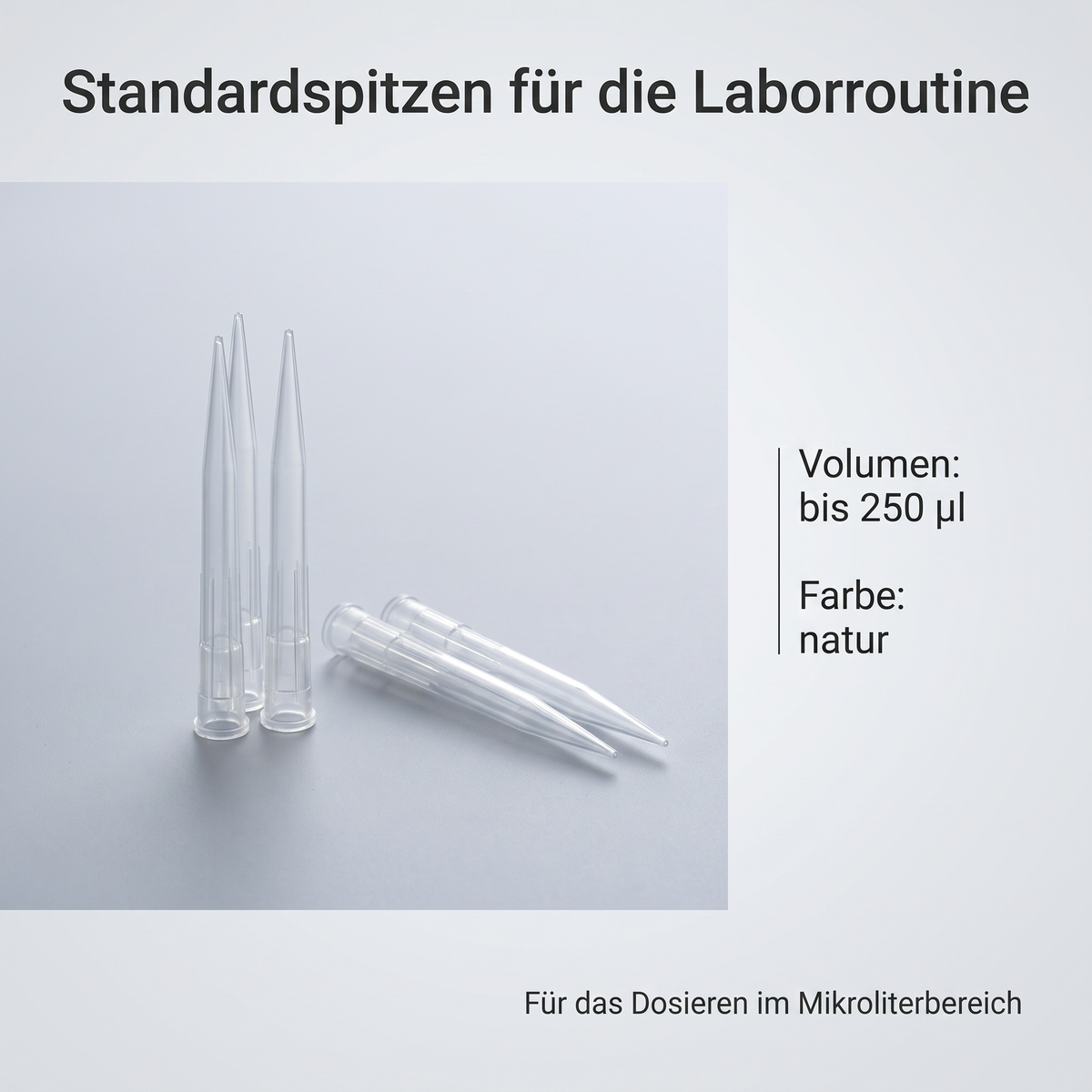 Pipettenspitzen bis 250 µl – Pipettenspitzen bis 250 µl, Eppendorf-kompatibel (image2)