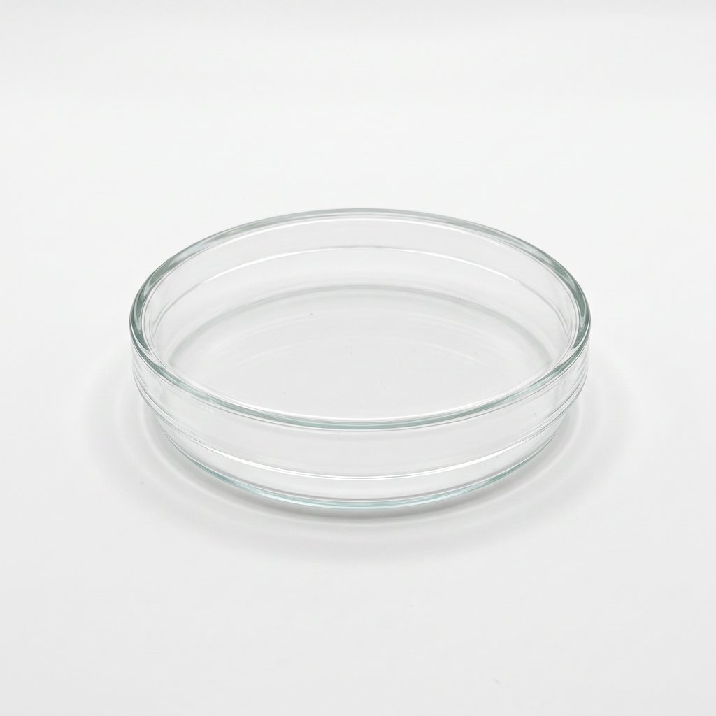 Heinz Herenz Petrischale aus Glas mit Deckel, Ø 60 x 15 mm