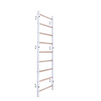 BenchK Sprossenwand 700 mit Stahlrahmen und 9 Sprossen – Ansicht 2