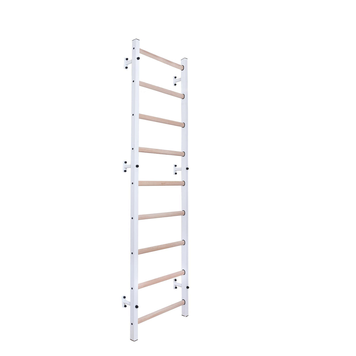 BenchK Sprossenwand 700 mit Stahlrahmen und 9 Sprossen – Ansicht 2